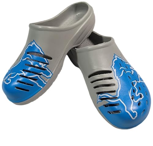 Detroit Lions