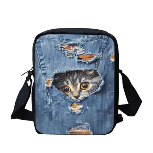 Cute Denim Cat