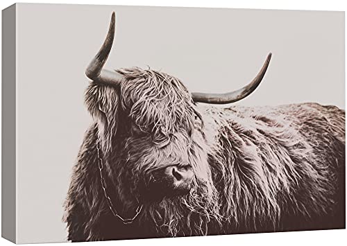 Bs21-2105-animal-fo03