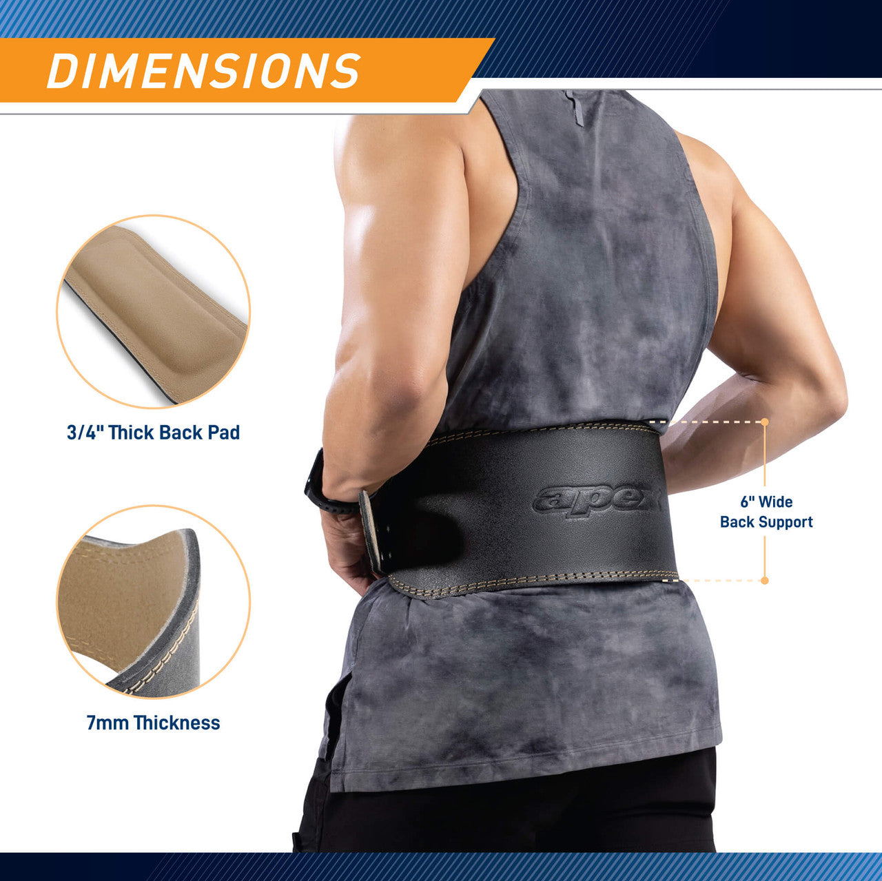 Apex 6 Padded Leather Weightlifting Belt for Men & Women - Premium Gym Belt for Powerlifting, CrossFit, Deadlifts & Squats - B5LB6 | Ideal for Home & Commercial Gym Workouts