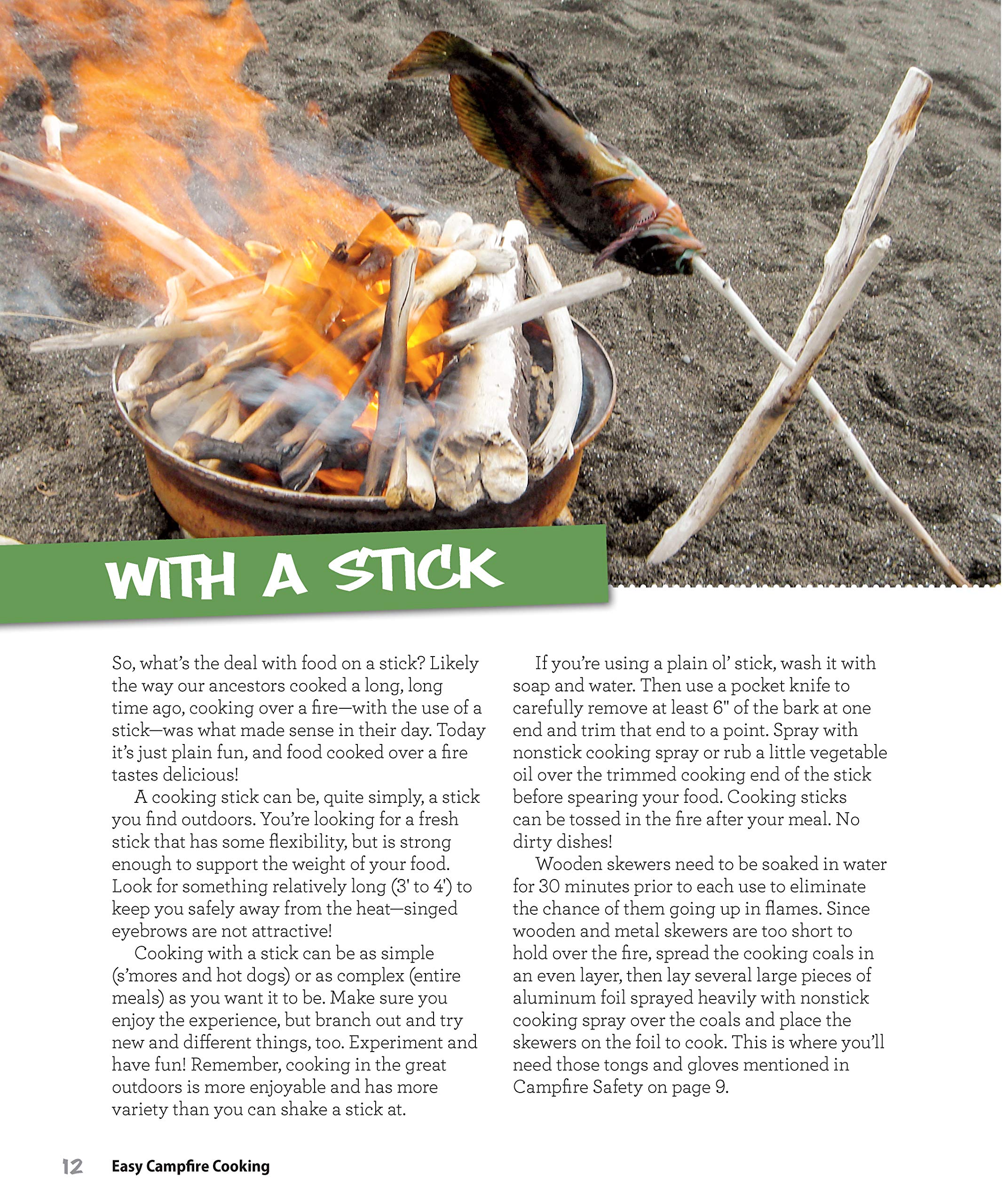 **200+ Easy Campfire Cooking Recipes for Dutch Oven, Foil Packets & More – Family Fun Outdoor Meals for Camping, Scouting & Bonfires – Perfect for Backyard BBQs & Wilderness Adventures**