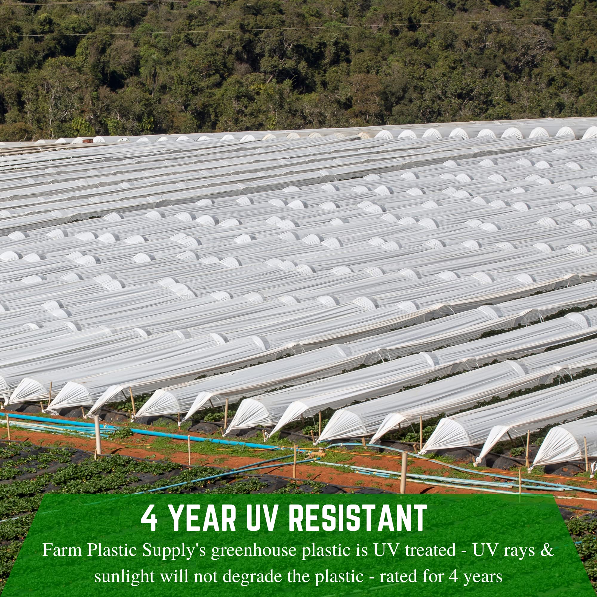 White Greenhouse Plastic Sheeting 6 mil (25' x 30') - 4 Year UV Resistant Poly Film - 55% Light Transmission for Hoop House, Gardening & Agriculture | Durable Farm Plastic Supply for Plant Growth & Crop Protection