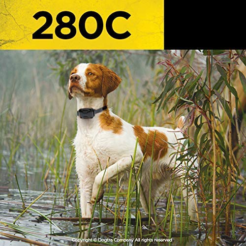Dogtra 280c Ultra-Compact Dog Training Collar with Remote - IPX9K Waterproof, 127-Level Static Stimulation & Vibration, LCD Screen, 1/2 Mile Range - Rechargeable Bark Collar for Large Dogs - Perfect for Outdoor Training, Hunting & Obedience Classes