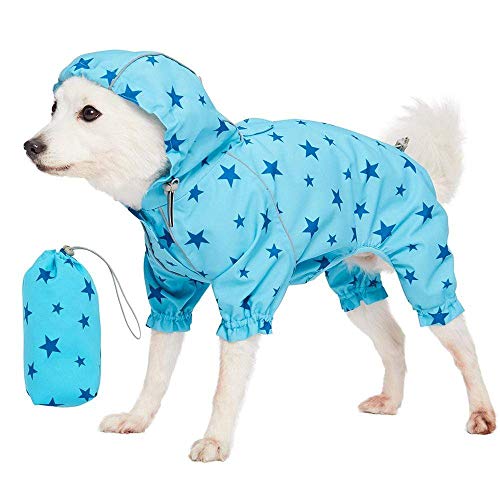 4-legged - Blue, Star Prints
