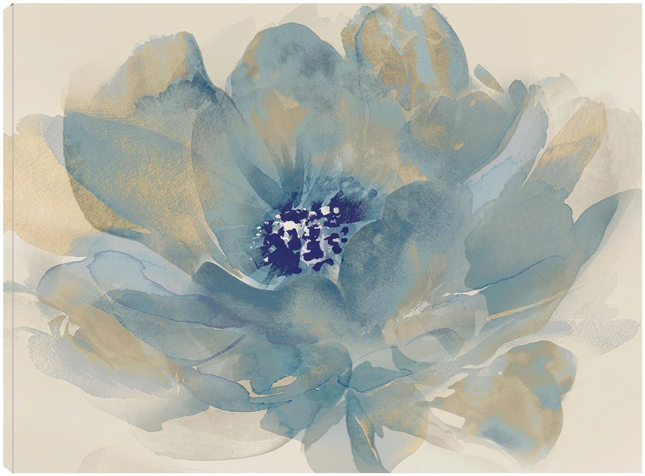 Tania Bello Floral Cloud Dreams Canvas Wall Art - 32x24 Inch Ready to Hang Painting for Living Room, Bedroom, Office Decor - Modern Floral Abstract Artwork for Home & Commercial Spaces