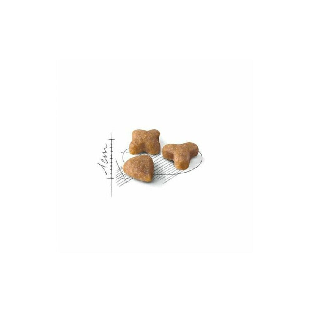Premium Adult Cat Dry Food - FHN Sensible Nutrition for Healthy Cats - Ideal for Indoor & Outdoor Cats