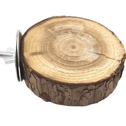 Natural Moss Hollow Trunk Perch for Reptiles - Perfect for Terrariums, Vivariums & Reptile Habitats