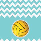 Chevron Polo
