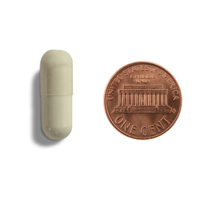 Davinci Labs Digenzyme™ - 90 Vegetarian Capsules for Digestive Support & Gut Health - Ideal for Travel, Meals & Digestive Comfort