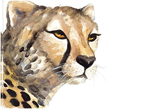 Cheetah Portrait