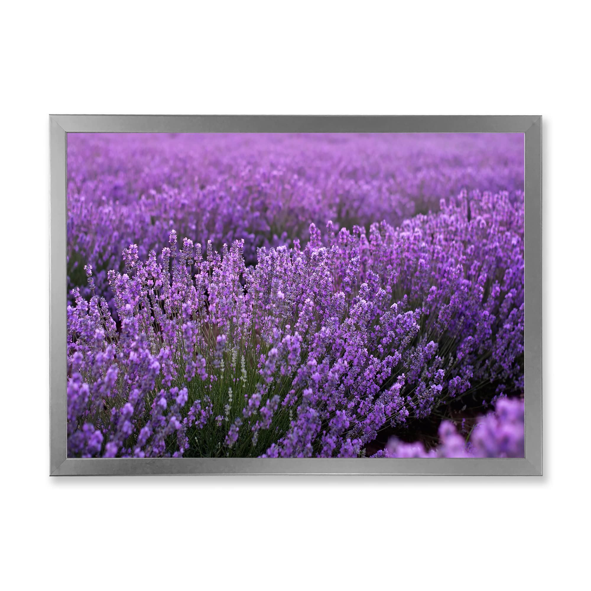 Blooming Purple Lavender Field Farmhouse Framed Wall Art - Rustic Countryside Decor for Living Room, Bedroom & Office - Perfect Home Decoration Gift