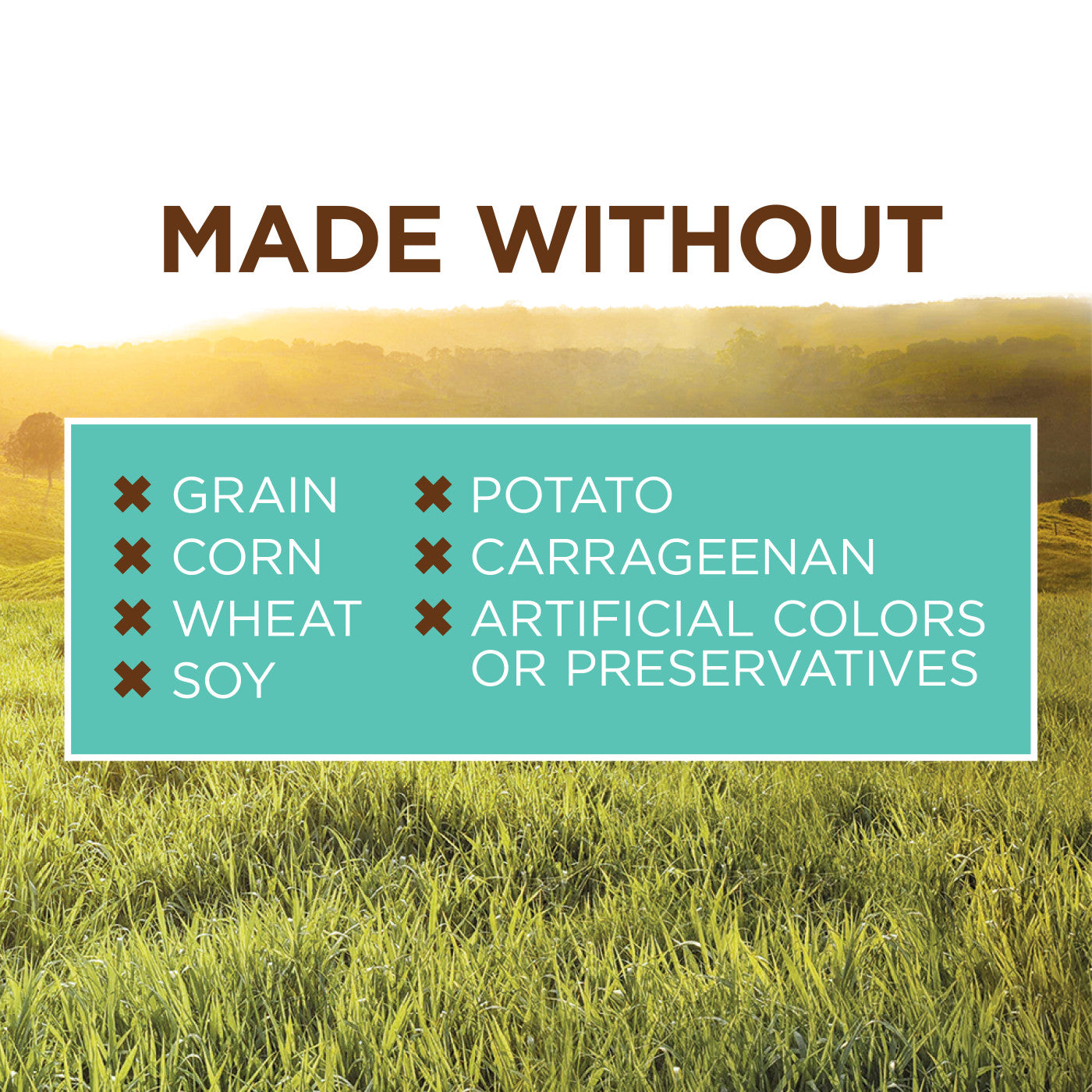 Original Grain Free Chicken Puppy Canned Food - High Protein Wet Dog Food for Puppies - Perfect for Sensitive Stomachs & Allergies - Ideal for Training, Travel & Daily Meals