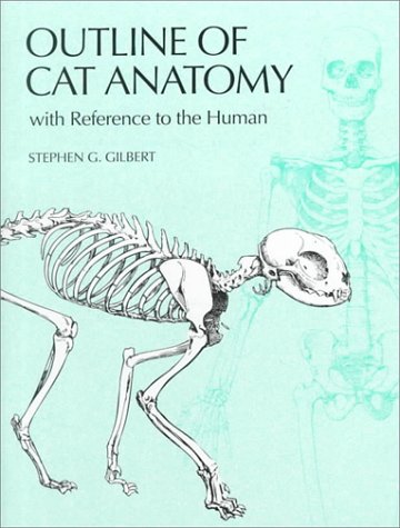 Cat Anatomy Guide - Comparative Study with Human Anatomy | Veterinary Reference & Pet Care Learning