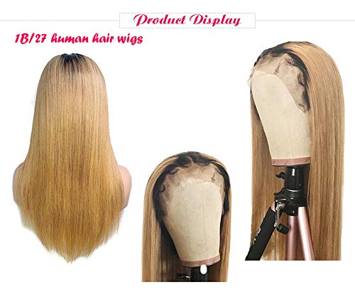 Ombre Lace Front Human Hair Wigs Blonde Strawberry 13x4 Frontal Lace Wigs - 14 Inch 150% Density Pre Plucked with Baby Hair, #613 Straight Lace Front Wig for Women with Dark Roots | Perfect for Daily Wear, Cosplay, and Special Occasions