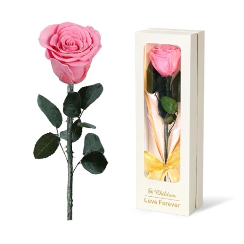 Preserved Pink Rose