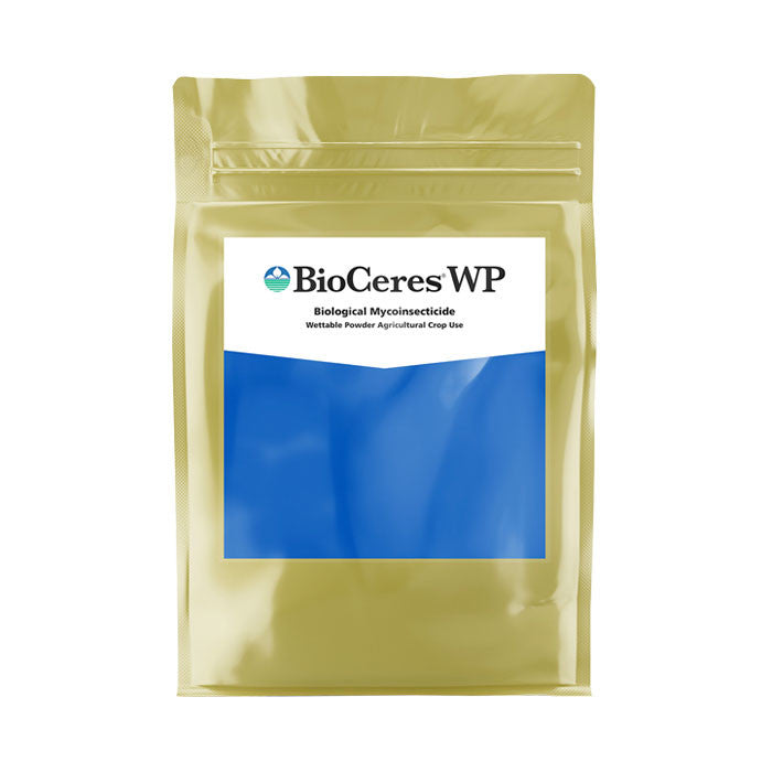 BioCeres WP - Organic Plant-Based Protein Powder for Weight Loss & Muscle Recovery | Vegan, Gluten-Free, Non-GMO | Perfect for Post-Workout, Meal Replacement & Healthy Lifestyle