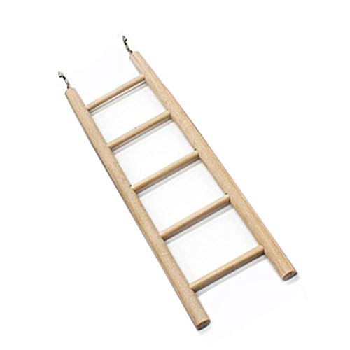 5 Ladders