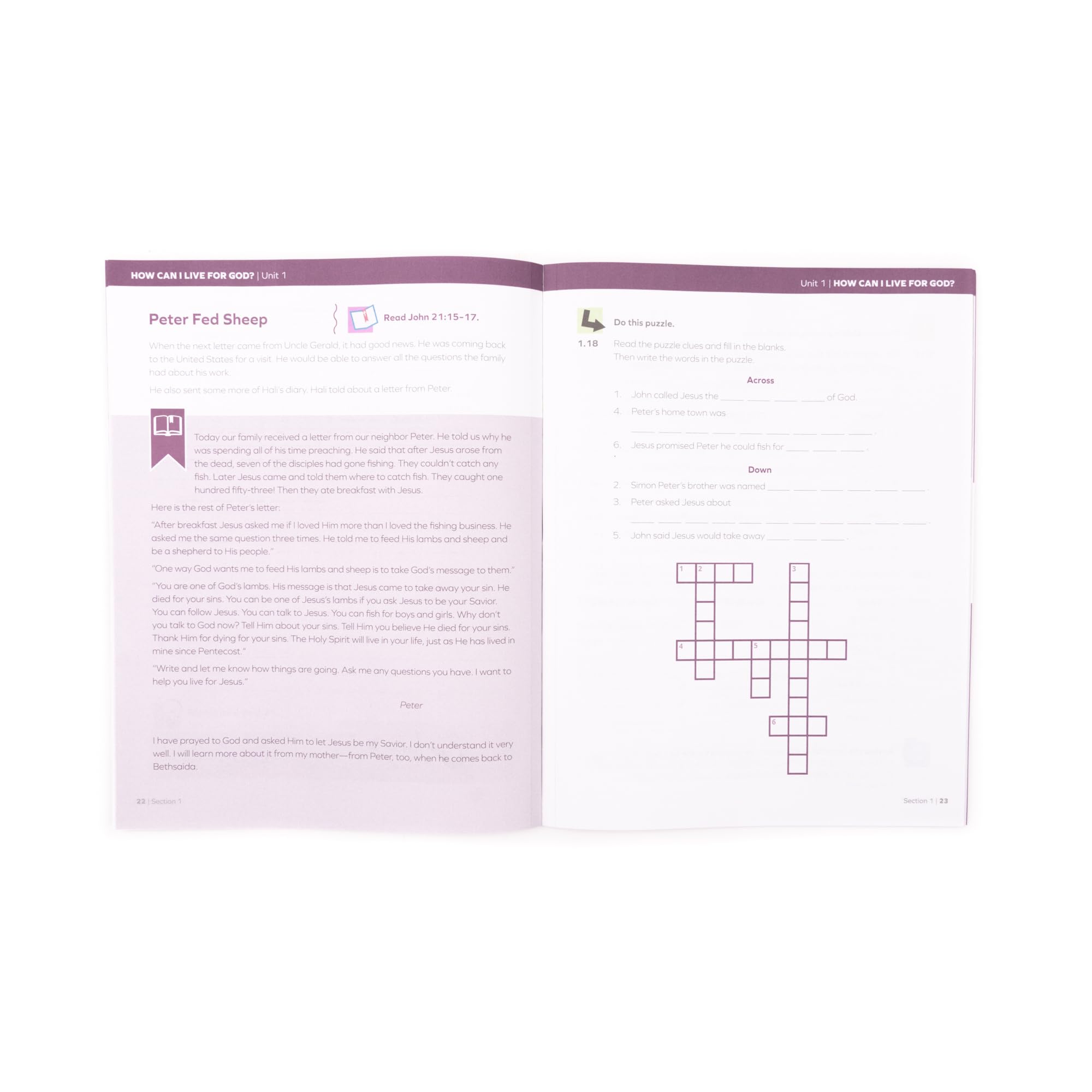Lifepac Bible Curriculum for 4th Grade - Christian Homeschooling & Sunday School Lessons - Perfect for Kids' Religious Education & Bible Study