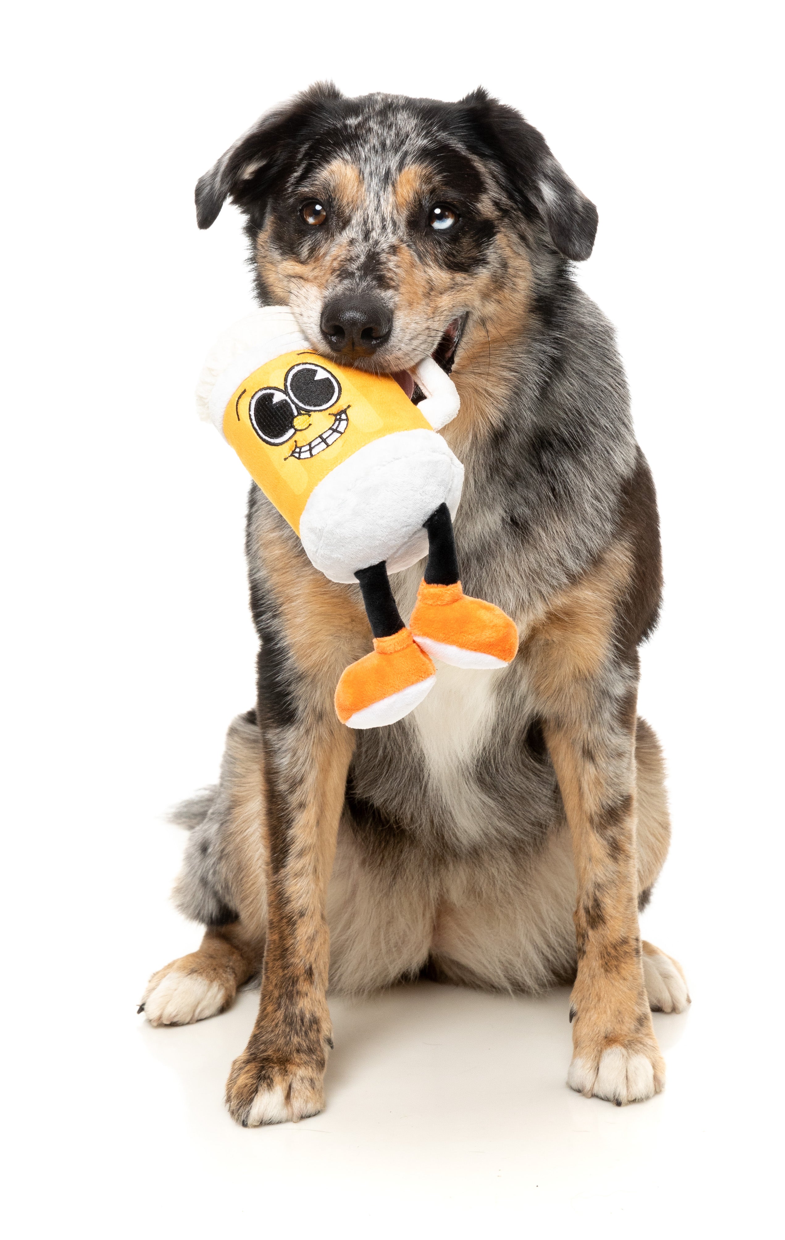 FuzzYard The Homies Squeaky Plush Dog Toy - Steinzy | Soft & Durable Interactive Puppy Chew Toy for Small & Medium Dogs | Perfect for Playtime, Training & Cuddling