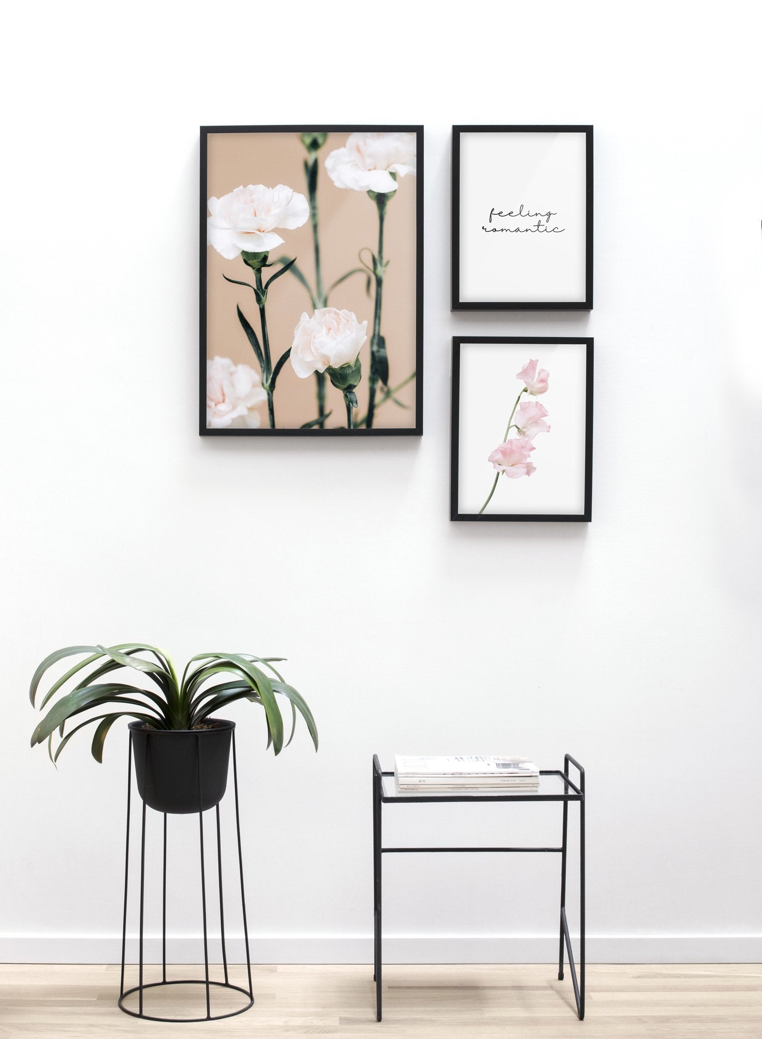 Pink Carnations Poster - Beautiful Floral Wall Art Decor for Home, Office, or Gift - Perfect for Living Room, Bedroom & Wedding Decorations