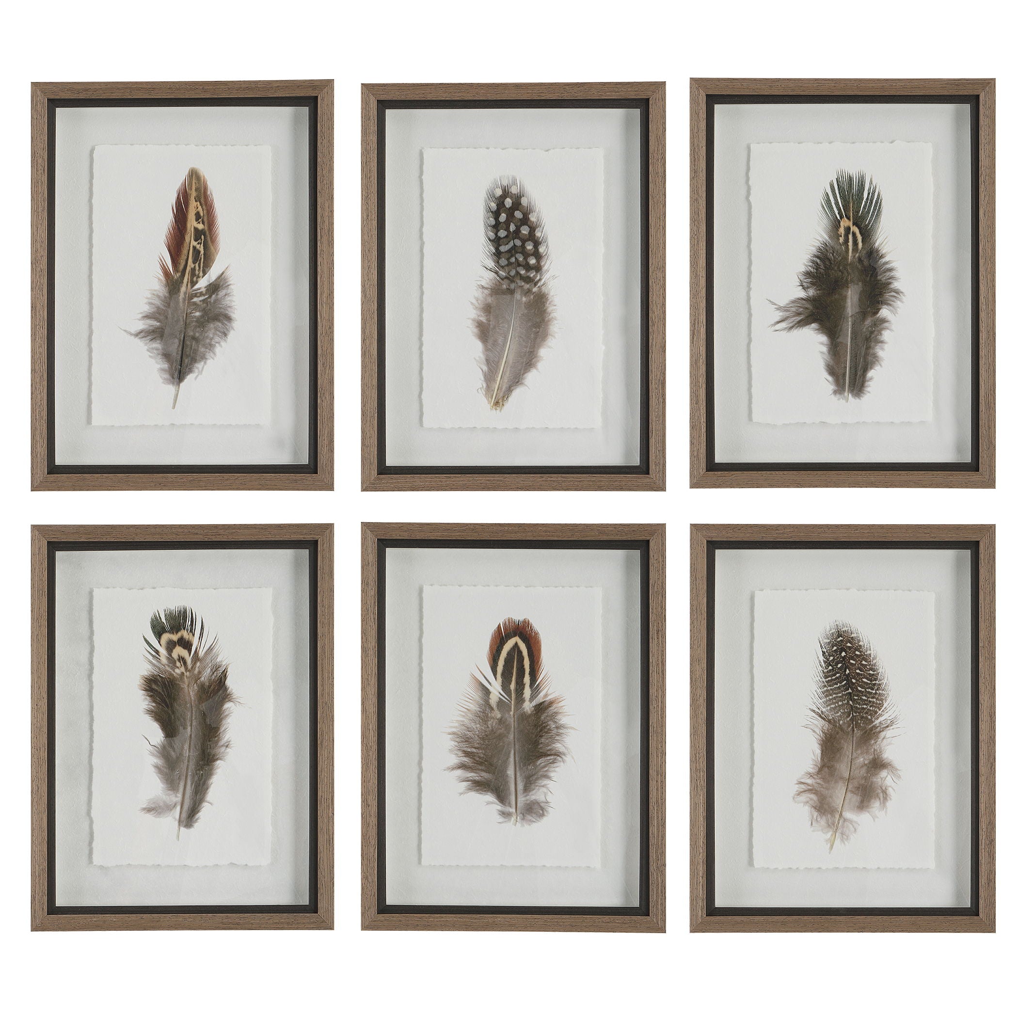 Birds Of A Feather Framed Prints - Set of 6 Wall Art Decor for Living Room, Bedroom & Office - Nature Inspired Home Decor