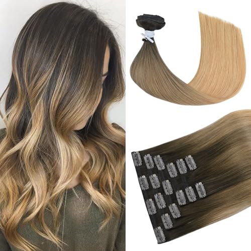 #2/6/27 Dark Brown to Chestnut Brown and Ash Brown