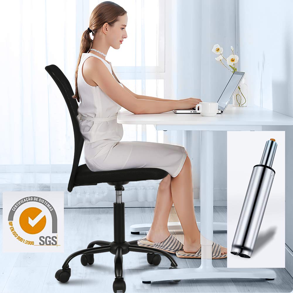 Ergonomic Mesh Office Chair - Adjustable Height Mid Back Computer Desk Chair for Home, Student & Small Office - Modern No Armrest Rolling Swivel Task Chair (Black) - Perfect for Remote Work, Online Classes & Long Study Sessions