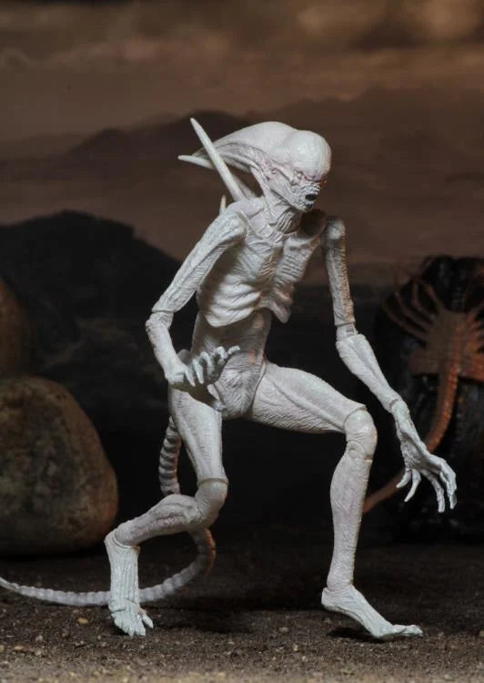 Alien: Covenant Neomorph Action Figure - Collectible Movie Merchandise for Sci-Fi Fans | Perfect for Display, Cosplay & Gift Giving