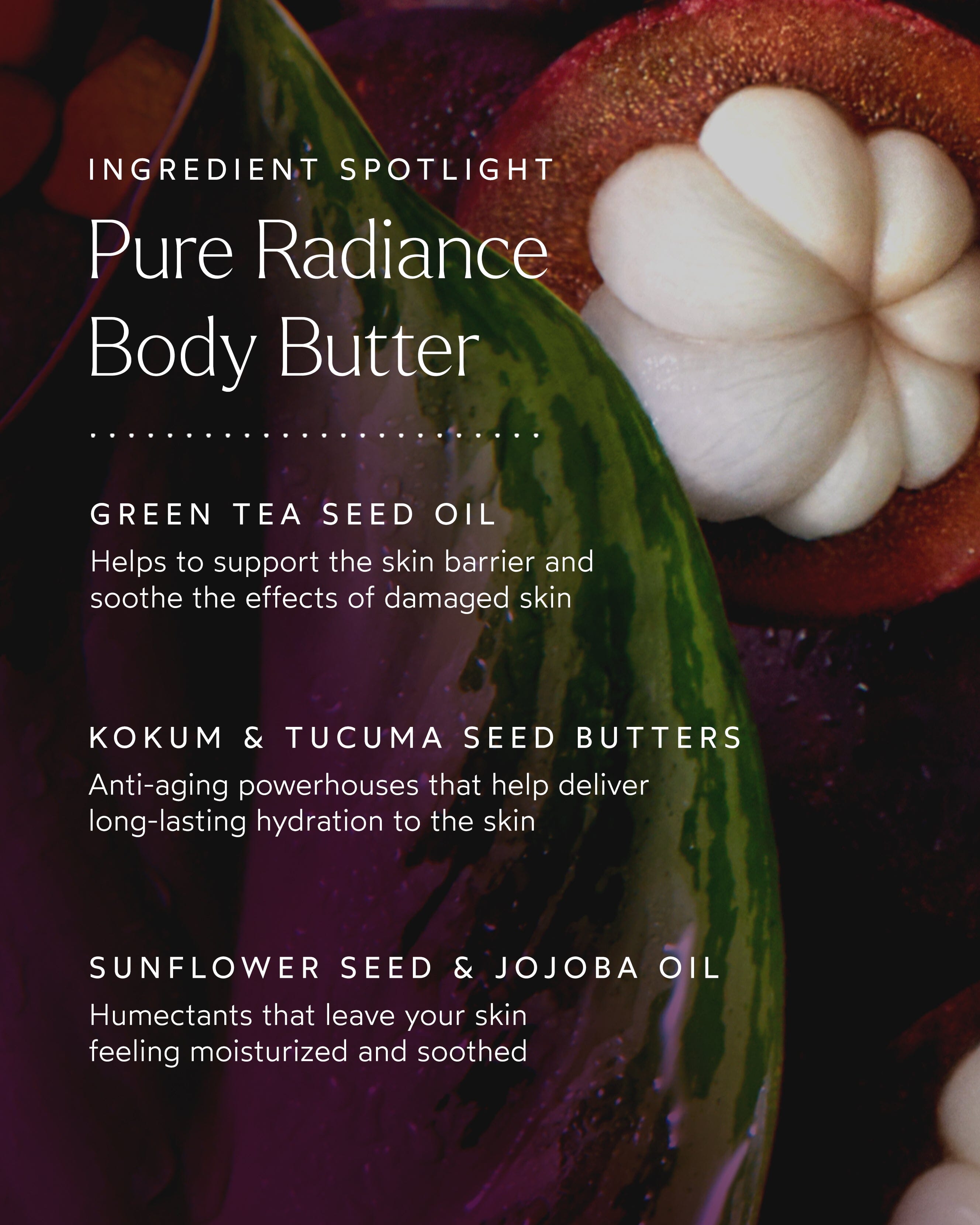 Pure Radiance Body Butter - Ultra Hydrating & Nourishing Moisturizer for Dry Skin | Vegan & Cruelty-Free | Perfect for Daily Skincare & Post-Shower Use