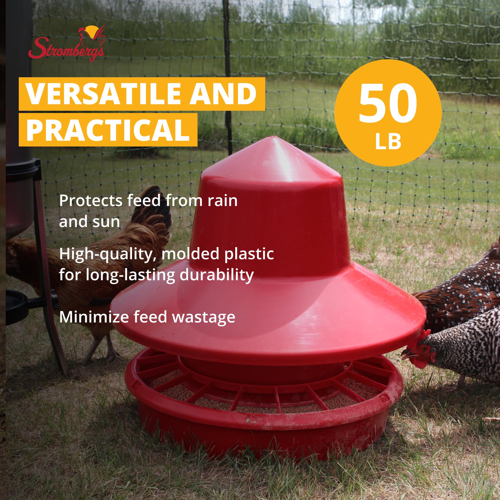 Stromberg's 50 lb Rain Shield Chicken Feeder - Large Capacity Poultry Feeder with Durable Plastic Lid - Easy Fill Design & Feed Saving Grill - 24