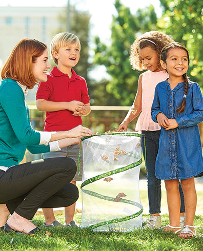 Insect Lore School Kit Refill - Prepaid Digital Voucher for Butterfly Life Cycle Science Projects - Perfect for Classroom STEM Activities & Homeschool Learning