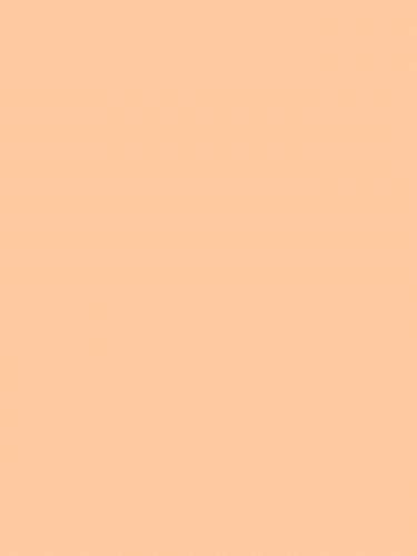 Light Pink Peach