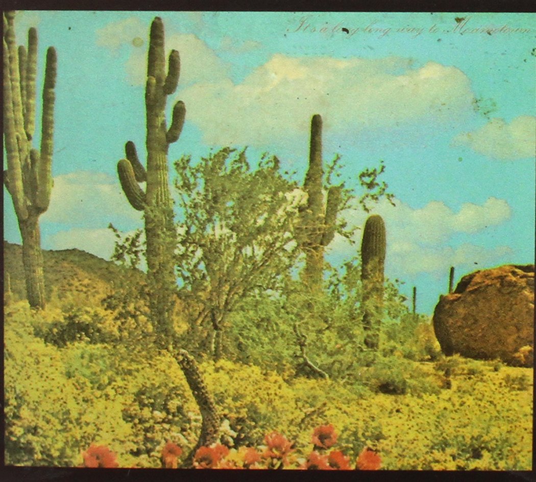 Meximotown Travel Guide - Best Road Trip Tips & Scenic Routes for Your Adventure