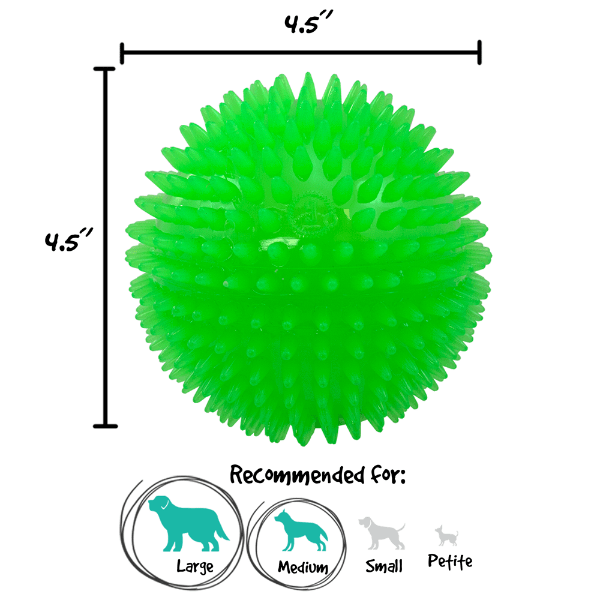 Gnawsome Extra Large Squeak & Light Ball for Dogs - Durable Chew Toy with Interactive Sounds and Flashing Lights - Perfect for Playtime, Training, and Outdoor Activities