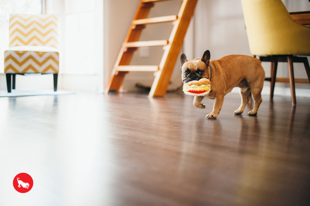 El Taco Dog Plush Toy - International Classic™ Chew-Resistant Squeaky Stuffed Animal for Pets | Perfect for Playtime, Training & Cuddling | Pet P.L.A.Y.
