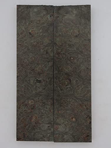 Spalted Tamarind - AP6083