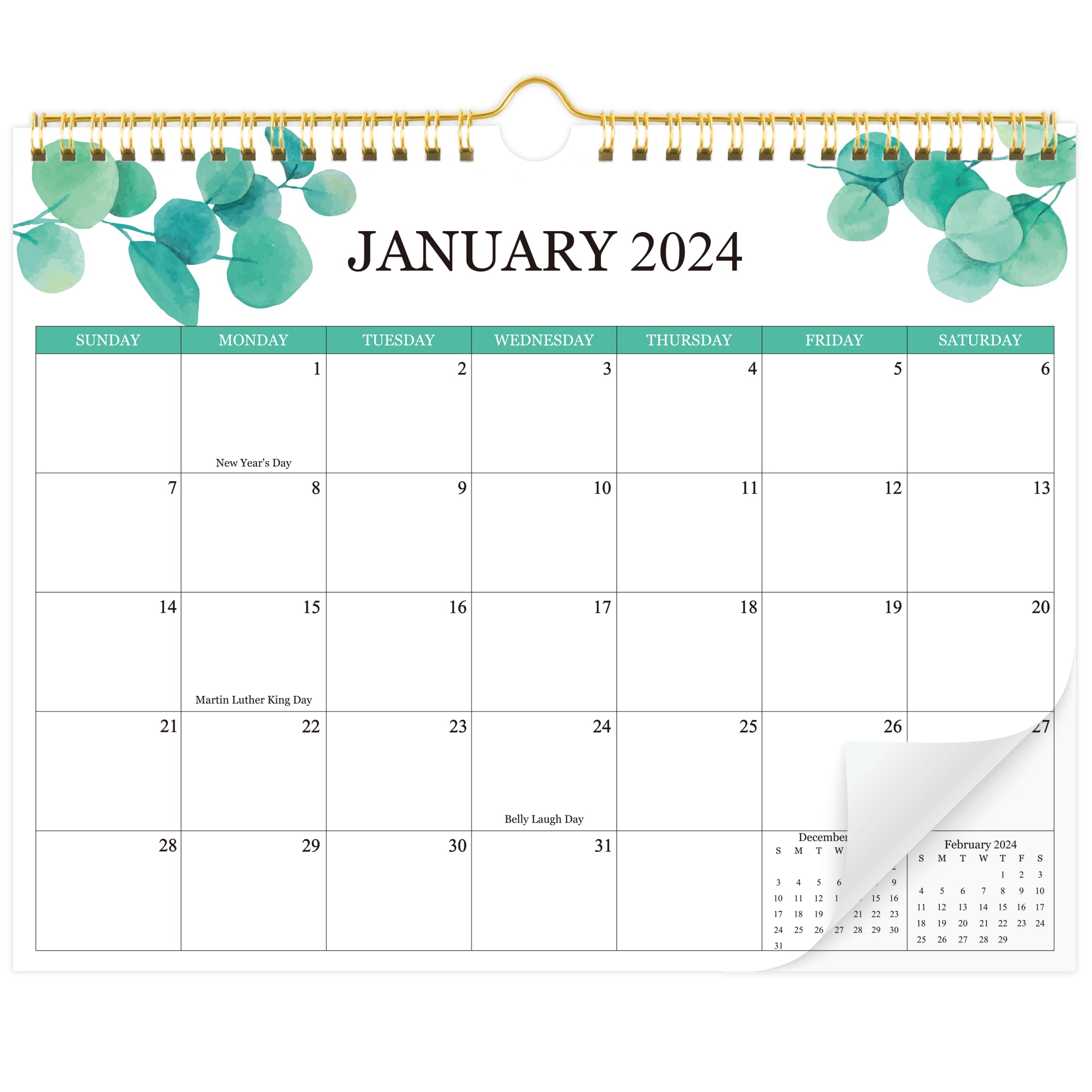 2024-2025 Wall Calendar - 18 Month Planner from January 2024 to June 2025 | Large Monthly Organizer for Home & Office | Perfect for Scheduling, Goal Tracking & Productivity