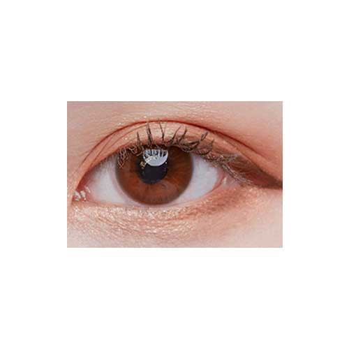 First Reve Choco C2 (2Pcs) Monthly Contact Lenses - Buy 1 Get 1 Free - Silicone Hydrogel Lenses for Comfort & Breathability - Perfect for Daily Wear, Special Occasions & Cosplay