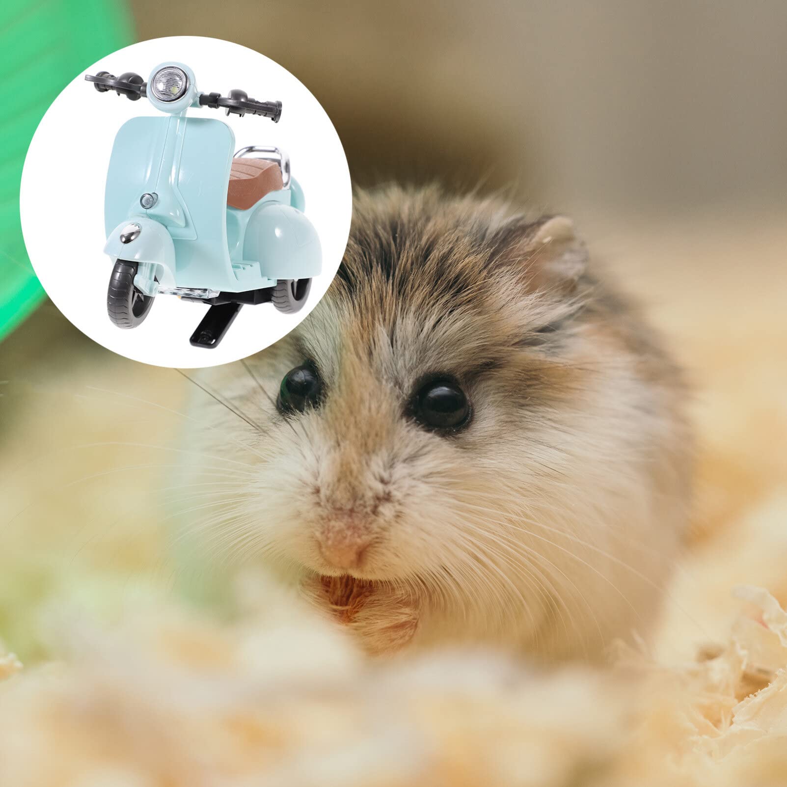 Hamster Motorcycle Toy - Rotating Cage Accessories for Small Pets - Play & Hideout Fun