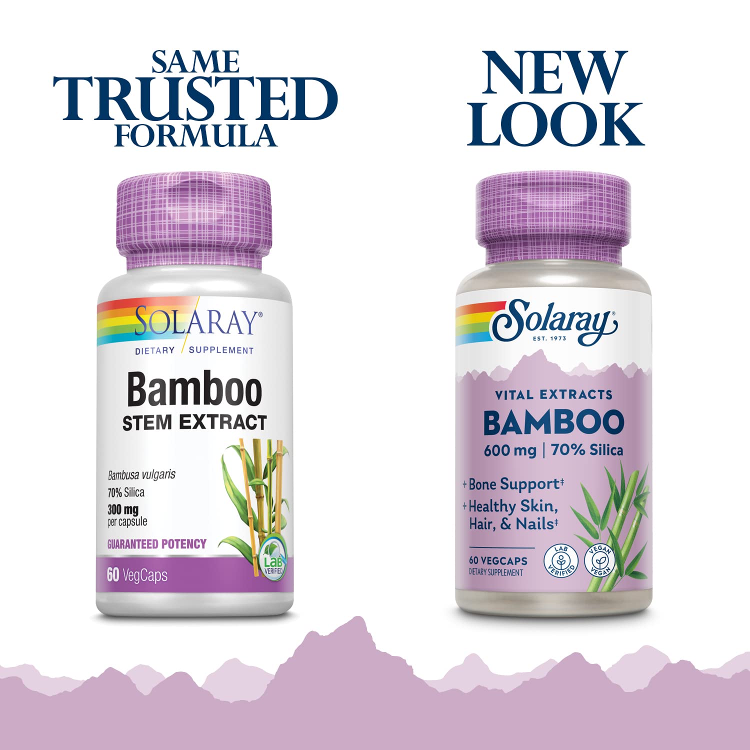 Solaray Bamboo Stem Extract 600mg - Supports Healthy Hair, Skin, Nails, Bones & Connective Tissue | Non-GMO, Vegan, Lab Verified Supplement | 60 Vegetable Capsules | For Daily Wellness & Beauty Routine