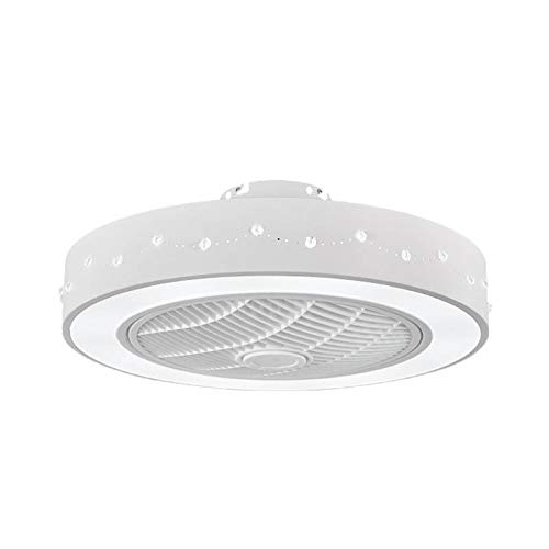 Dimmable LED Ceiling Fan with Light - 21.5