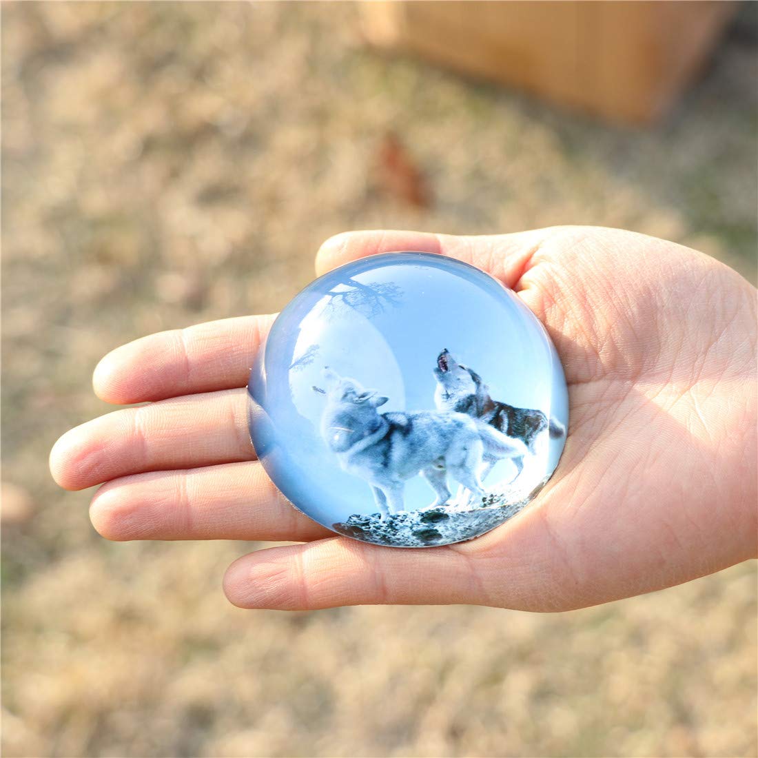 HANUR Crystal Wolf Paperweight - Elegant Glass Hemisphere for Office Desk Decor, Gift & Feng Shui Home Decoration | Perfect for Office, Study Room & Meditation Space