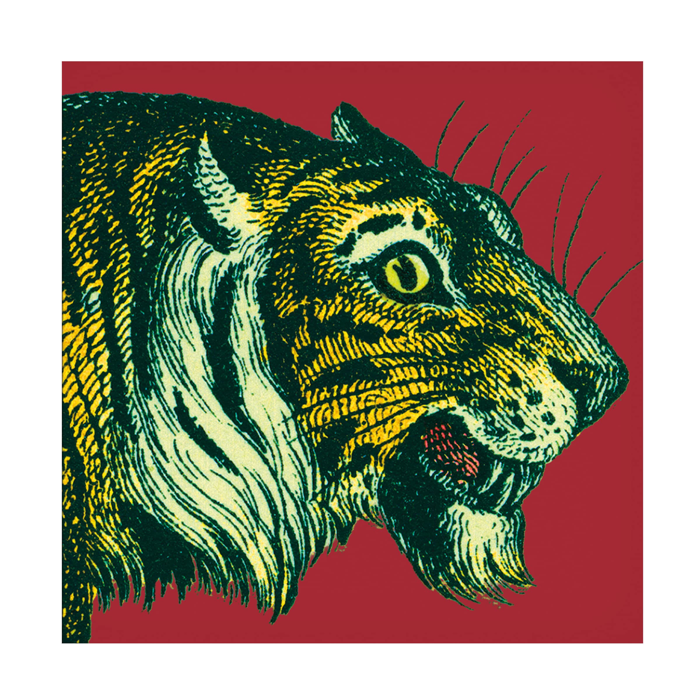 Trademark Fine Art 'Jungle Flair I' Canvas Wall Art Print by Wild Apple - Tropical Home Decor for Living Room, Bedroom & Office