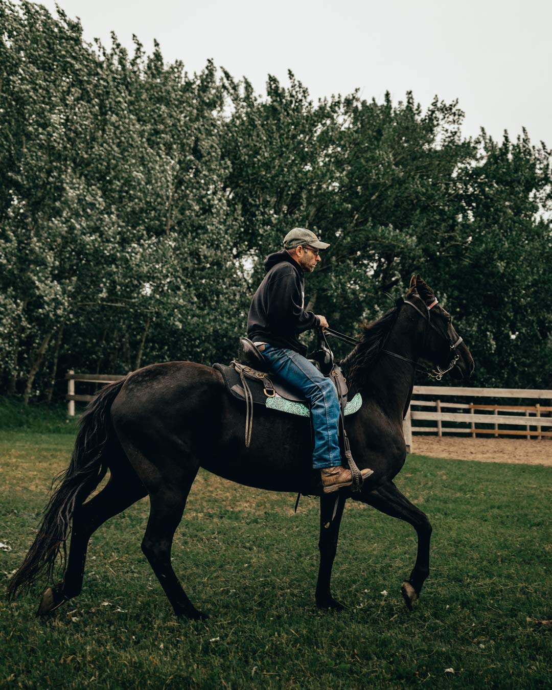 Impact Gel Contour Saddle Pad with Teal Floral Leather - Shock Absorbing Horse Riding Pad for Equestrian Comfort - Perfect for Trail Riding, Dressage & Show Jumping