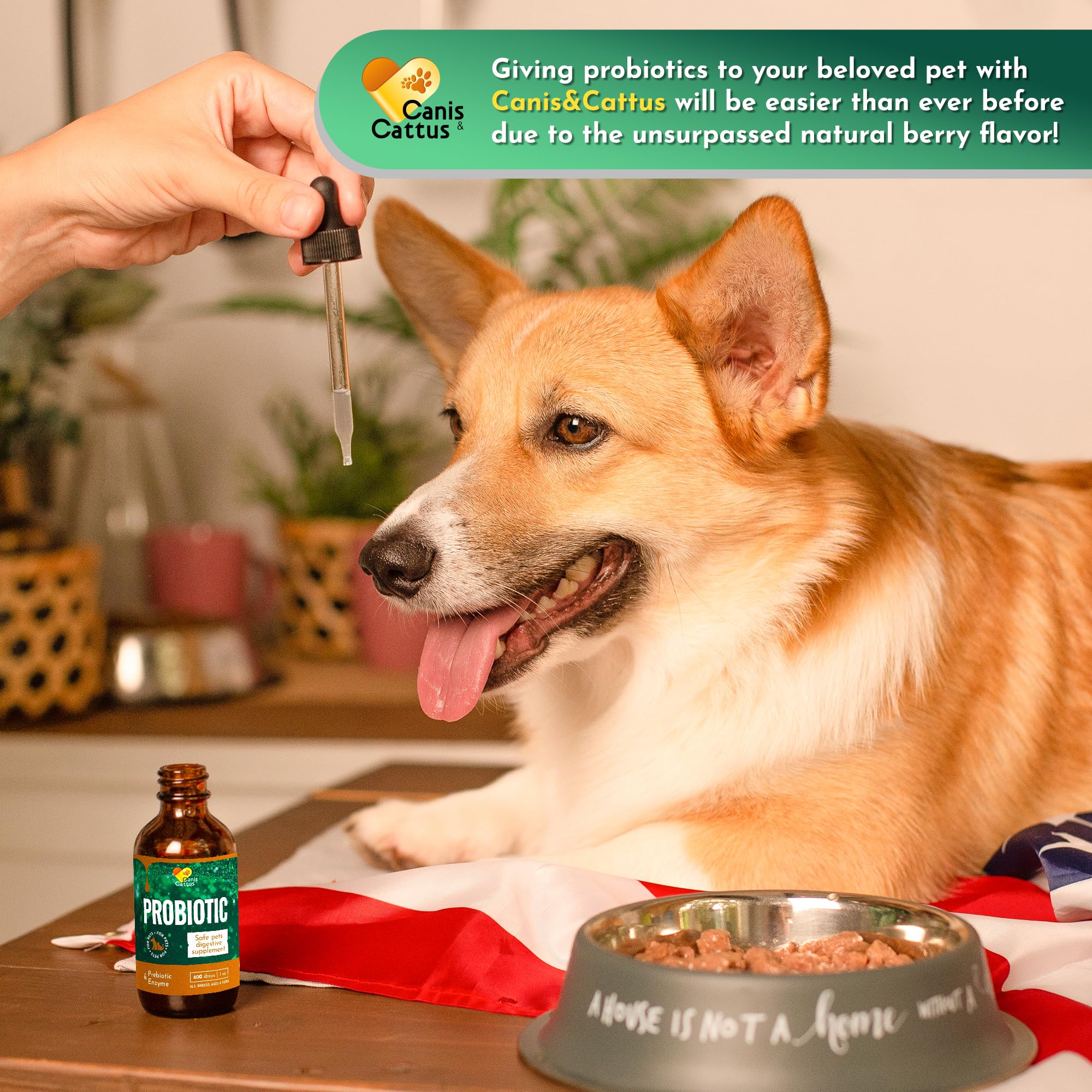 Organic Pet Probiotics for Cats & Dogs - Digestive Health Supplement (1 oz) | Supports Gut Health & Immunity - Ideal for Travel, Diet Changes & Daily Wellness
