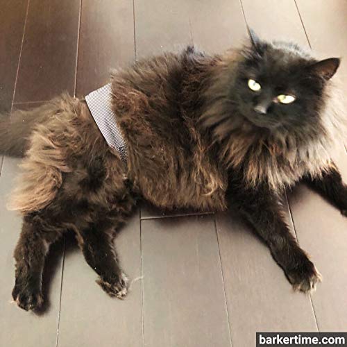 USA-Made Cat Diaper Stud Pants - Black & White Gingham Pull-Up Diapers for Spraying, Piddling & Incontinent Cats (Size L) - Allows Outdoor Defecation - Perfect for Travel, Vet Visits & Home Use