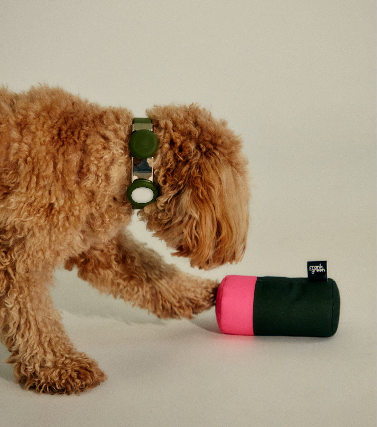 Durable Squeaky Dog Toys for Small & Large Dogs - Interactive Chew Toys for Puppies & Adult Dogs - Perfect for Playtime, Training & Teething Relief