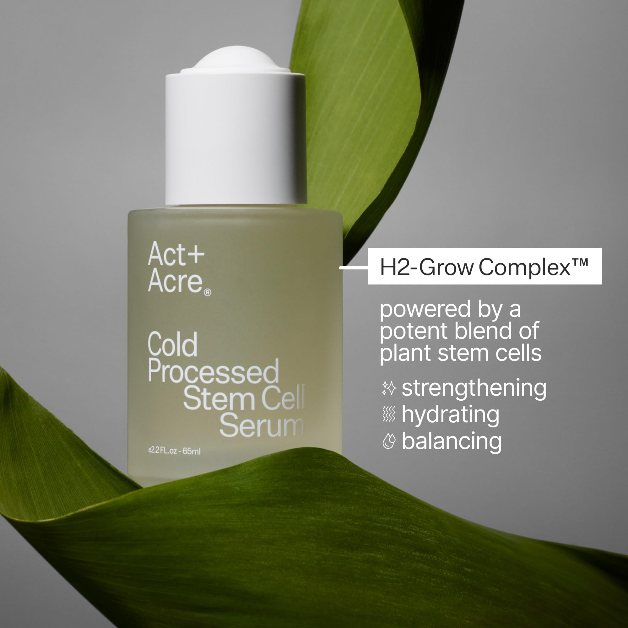 Act+Acre Cold Processed Stem Cell Scalp Serum for Thicker Hair Growth | Sulfate & Paraben Free Scalp Treatment with Aloe Vera | Hydrates & Soothes Dry Scalp | Perfect for Daily Hair Care Routine & Scalp Health Maintenance