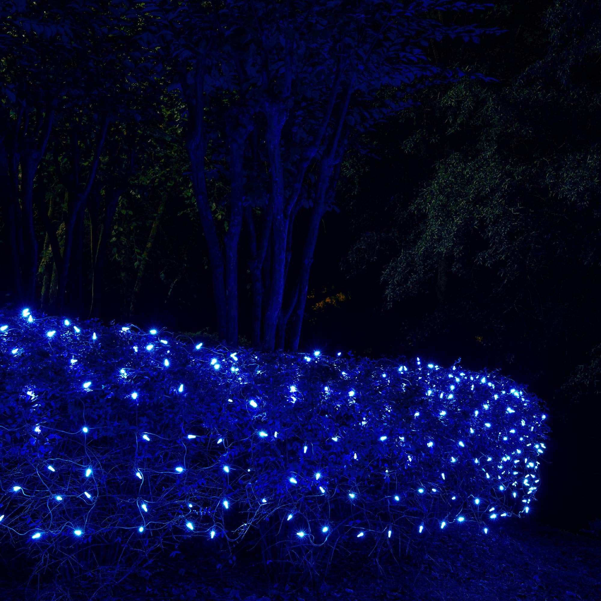 Blue LED Net Lights Outdoor - Wintergreen Holiday & Christmas Decor (4x6ft, 100 LEDs) for Hedges & Trees