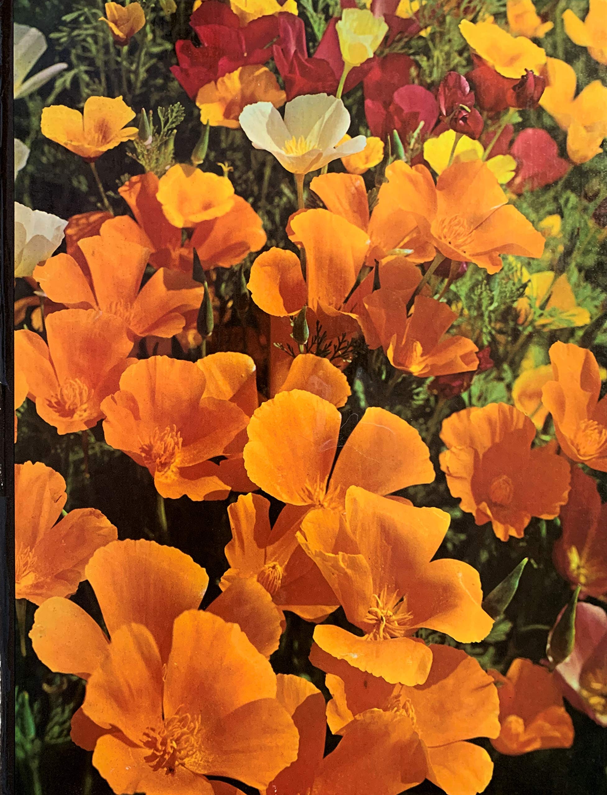 Annuals (The Time-Life Encyclopedia of Gardening) - Complete Guide to Growing Seasonal Flowers for Home Gardens, Landscaping & Container Planting
